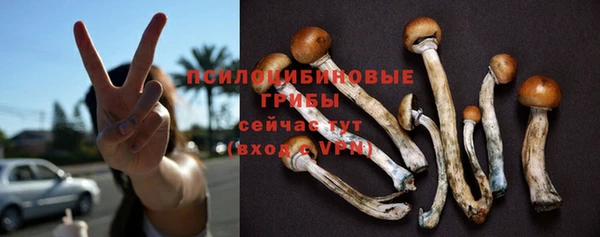 PSILOCYBIN Беломорск