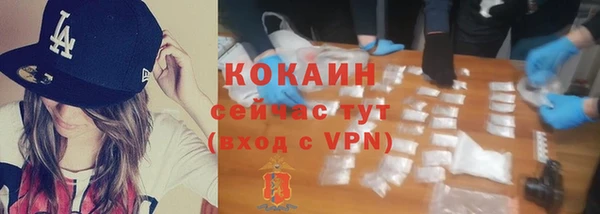 PSILOCYBIN Беломорск