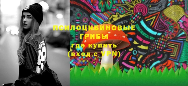 PSILOCYBIN Беломорск